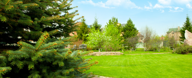 Greenbud - Keeping your Michigan yard private in all seasons